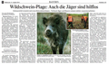 Wildschwein-Plage: Auch die Jäger sind hilflos